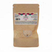 Hempodia Lowryder Autofiorente - 3 Semi