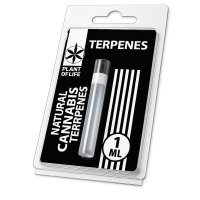 Terpene della pianta della vita